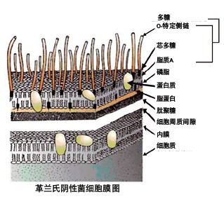 PURELAB flex^V(ni)ءRNaseDNaseͼ(x)