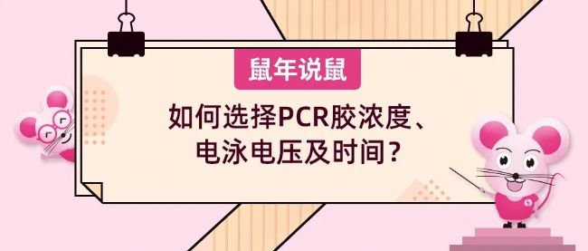 f󡷵ʮڣxPCRzȡӾ늉rg