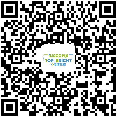 Inscopixӑ-ϲ.png