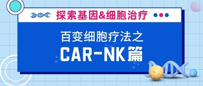 CAR-NKԮ܊ͻ