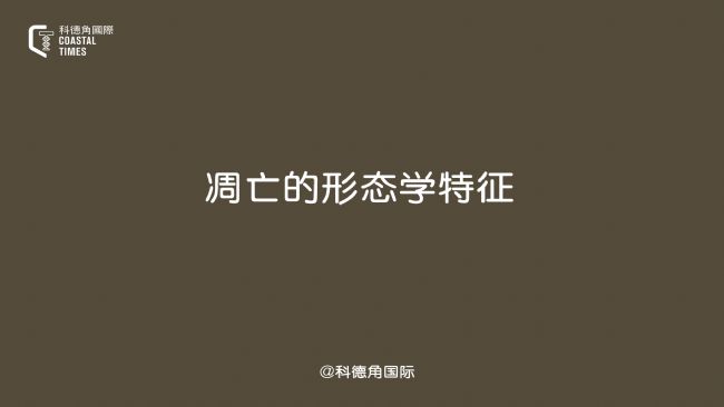ΑB(ti)W(xu)