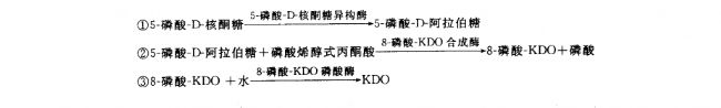 KDOĺϳɰBm