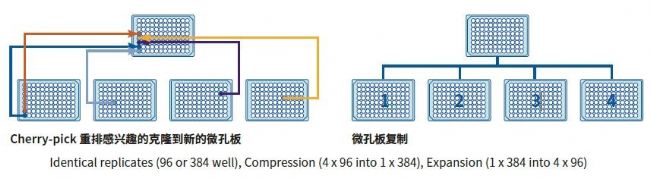 微生物篩選系統