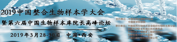 2019ЇӱW